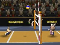 BunnyLimpics Volleyball
